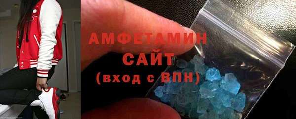 МДПВ Пересвет