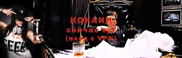 сатива Приозерск