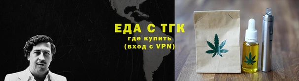 гидра Инта