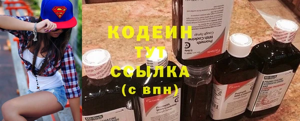 гашик Сясьстрой