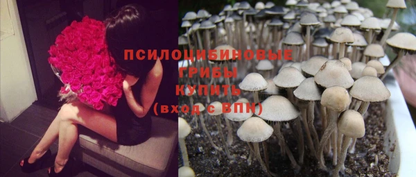 гашиш Осинники